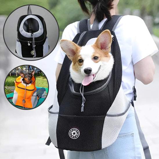 sac de transport chien