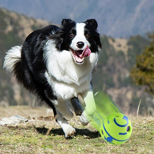 Jouet pour chien captive balle/ StimuliBall ™