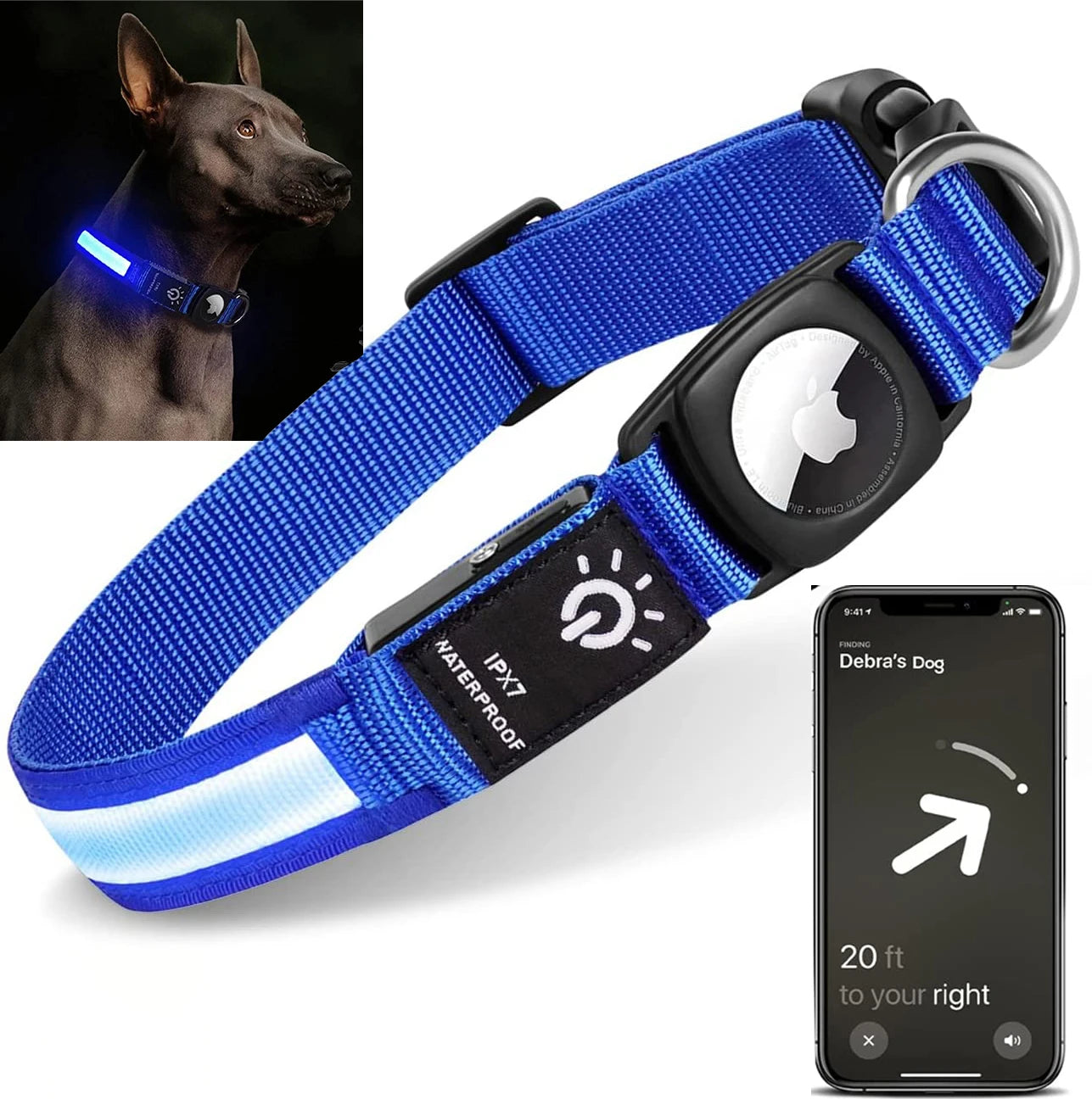 Collier GPS chien éclairé