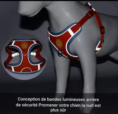 Harnais pour Chien  flashi | HarnessColor™