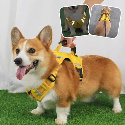 Harnais chien Anti-Traction /HarnessGrip™