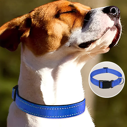 Collier pour Chien Nylon  Reflaichissant/ HardLink™