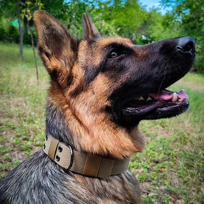 Collier chien tactique/TacticalCollar™