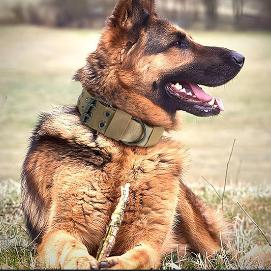 Collier chien tactique/TacticalCollar™