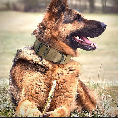 Collier chien tactique/TacticalCollar™