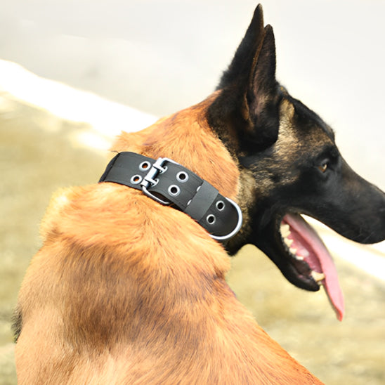 Collier chien tactique/TacticalCollar™