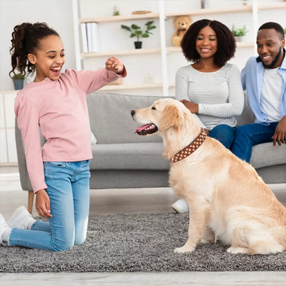 Collier Chien / Cuir Clouté StuddedLeather™