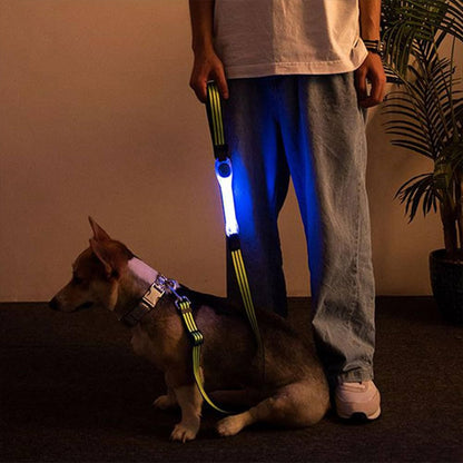 Collier Lumineux Chien/ LumiBand ™