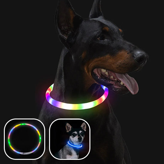 Collier Chien Lumineux/ MagicCircle™