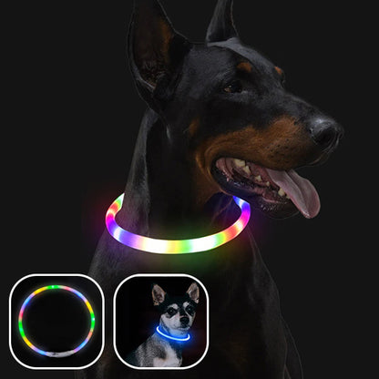 Collier Chien Lumineux/ MagicCircle™