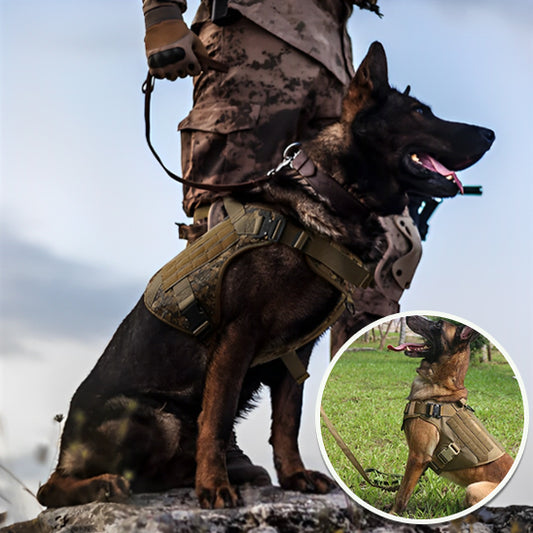 Le harnais chien idéal/HarnessVest ™