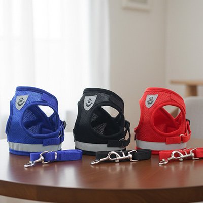 Harnais chien bleu , noir et rouge exposé sur table