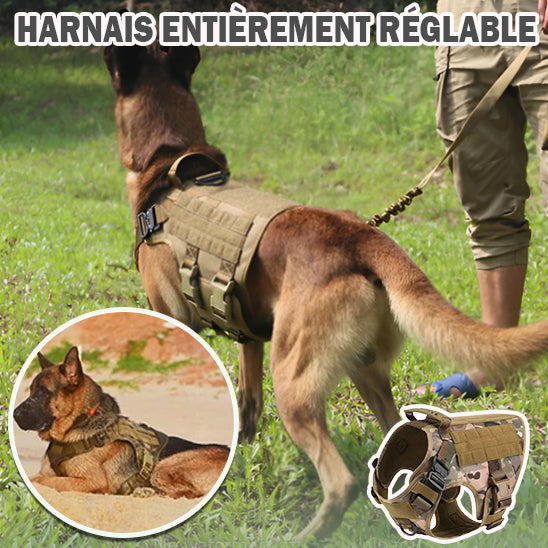 Le harnais chien idéal/HarnessVest ™