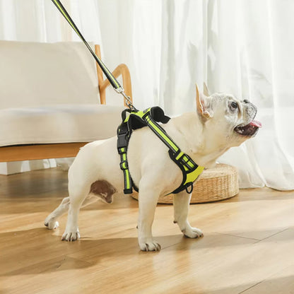 Harnais chien  réfléchissant SafetyHarness™