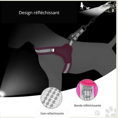 Harnais chien /mode/HarnessStyle™