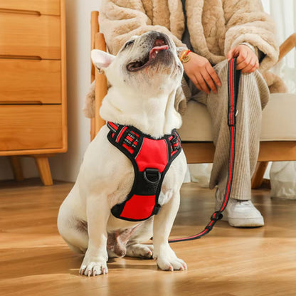 Harnais chien  réfléchissant SafetyHarness™