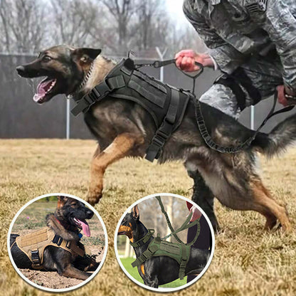 Le harnais chien idéal/HarnessVest ™
