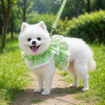 Harnais- petit -Chien-vert -pastel