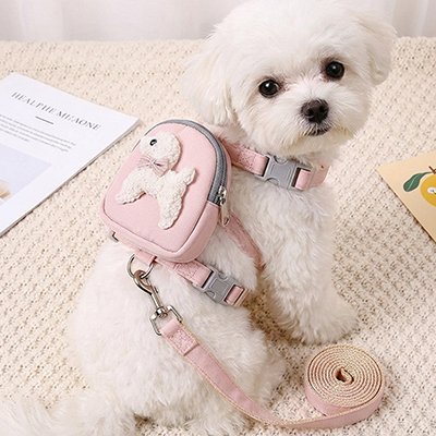 Harnais pour petit chien rose sur petit caniche blanc 