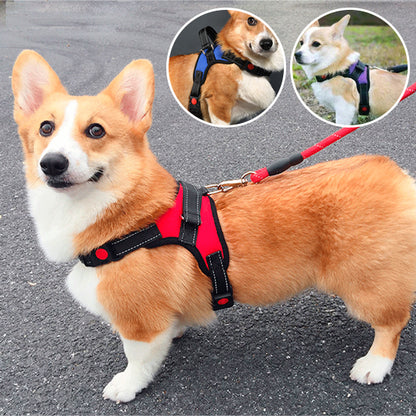 Harnais pour chien sans tirage/No-pullHarness™
