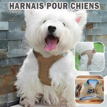 Harnais pour Petit Chien/ LittleHarness