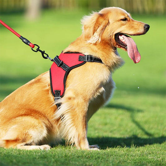 Harnais pour chien sans tirage/No-pullHarness™