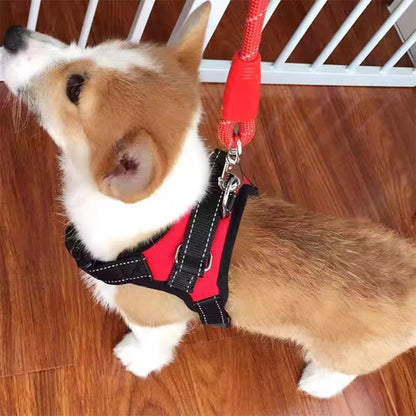 Harnais pour chien sans tirage/No-pullHarness™