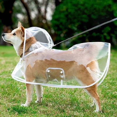 Imperméable pour chien​ sur Bergé avec laisse apparente 