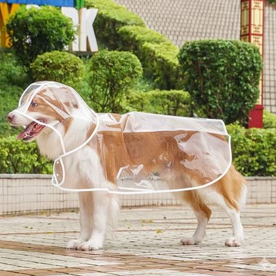 Imperméable pour chien​ transparent avec capuche sur Bergé 
