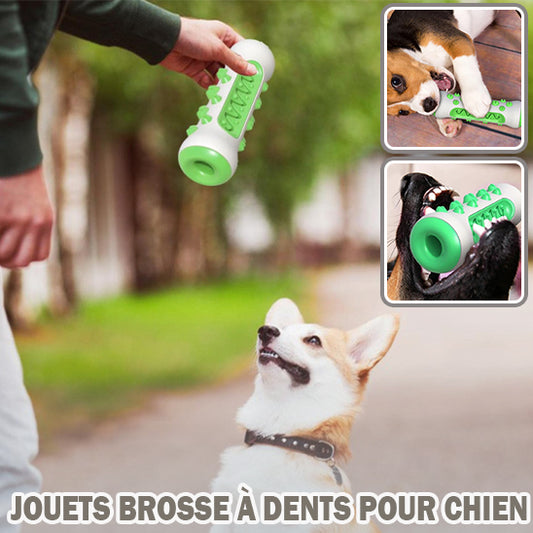 Jouet pour Chien /HappyTooth™