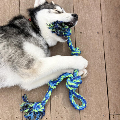 Jouet pour chien corde à dent/  DentalCorde™