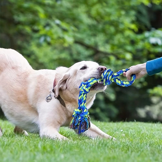 Jouet pour chien corde à dent/  DentalCorde™