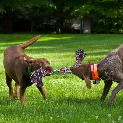 Jouet pour chien corde à dent/  DentalCorde™