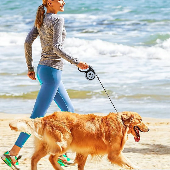 Une laisse pour chien automatique/RetractLeash™