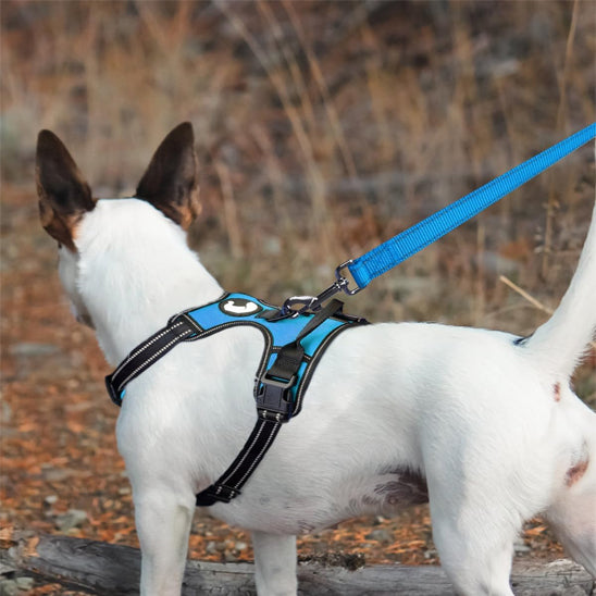 laisse pour chien réflective/ReflectLeash™