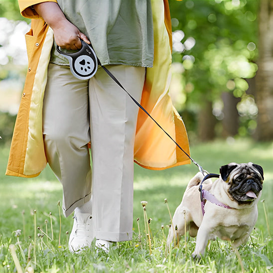 Une laisse pour chien automatique/RetractLeash™