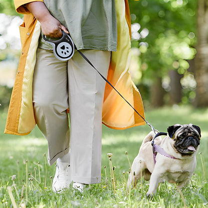 Une laisse pour chien automatique/RetractLeash™