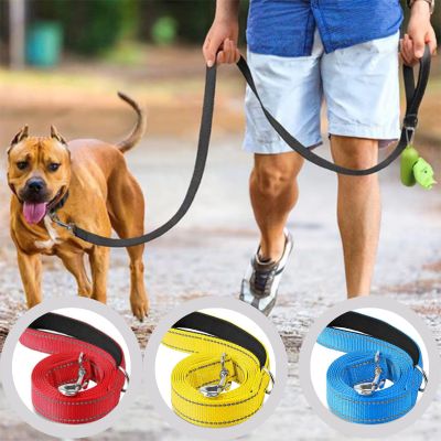 laisse pour chien réflective/ReflectLeash™