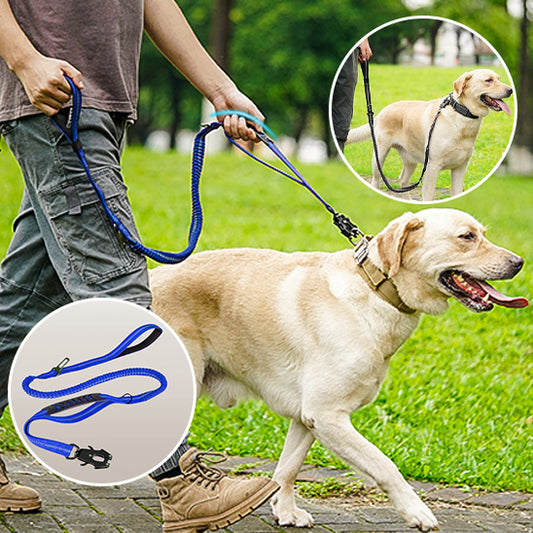 Laisse pour chien absorbe choc/VersatileLeash™