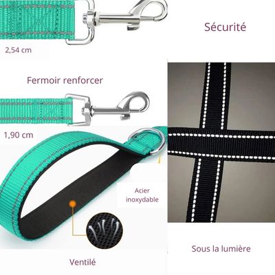 laisse pour chien réflective/ReflectLeash™