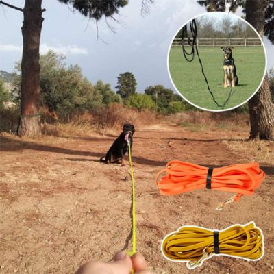 laisse pour chien camping/ FreedomLeash ™