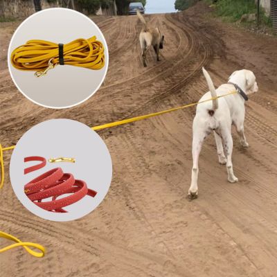 laisse pour chien camping/ FreedomLeash ™