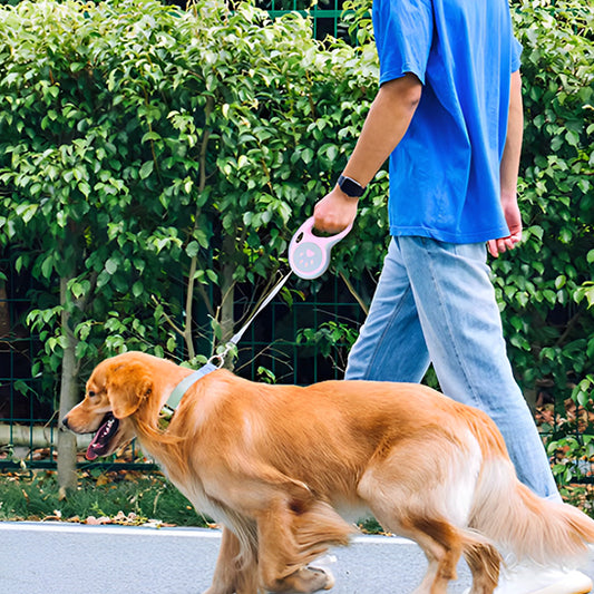 Une laisse pour chien automatique/RetractLeash™