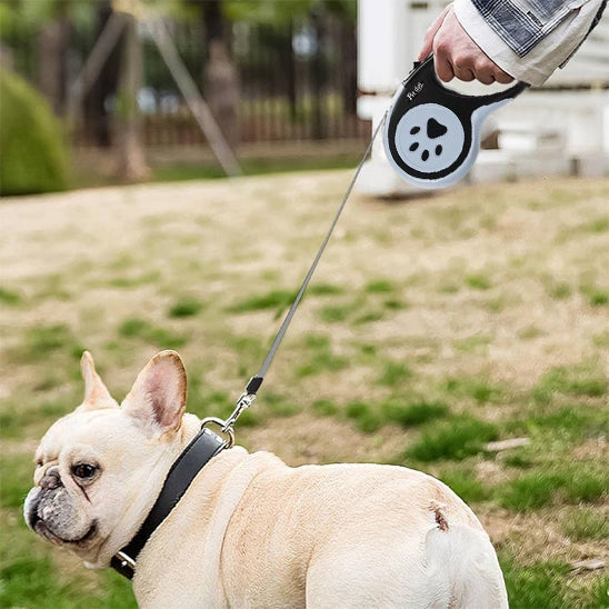 Une laisse pour chien automatique/RetractLeash™