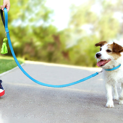 laisse pour chien réflective/ReflectLeash™