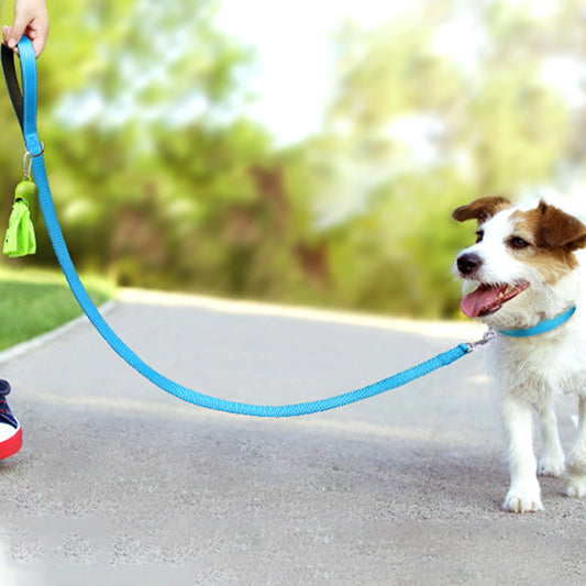 laisse pour chien réflective/ReflectLeash™