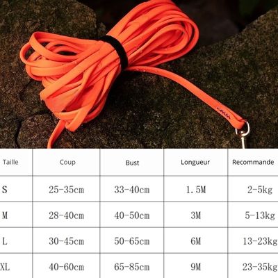 laisse pour chien camping/ FreedomLeash ™