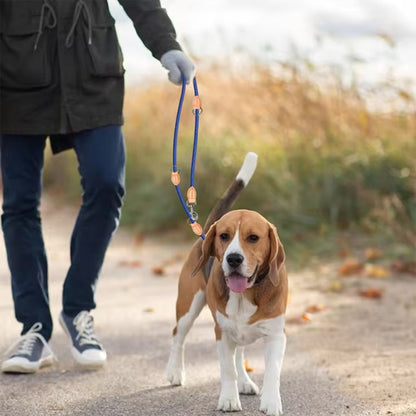 Laisse double pour chien tissé/FourLeash™