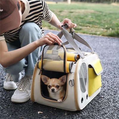 Sac de transport pour Chien posé à terre tete chien regarde par fenétre du sac 