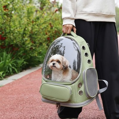Sac transport Chien vert porté a la main 